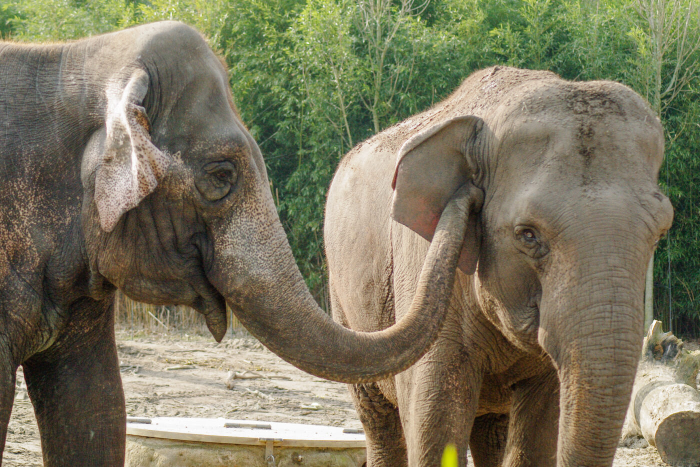 2016-03-10 - Allwetterzoo Münster