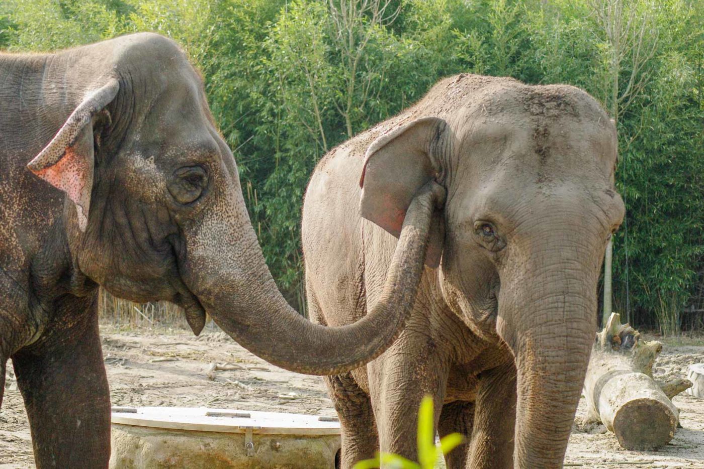 2016-03-10 - Allwetterzoo Münster