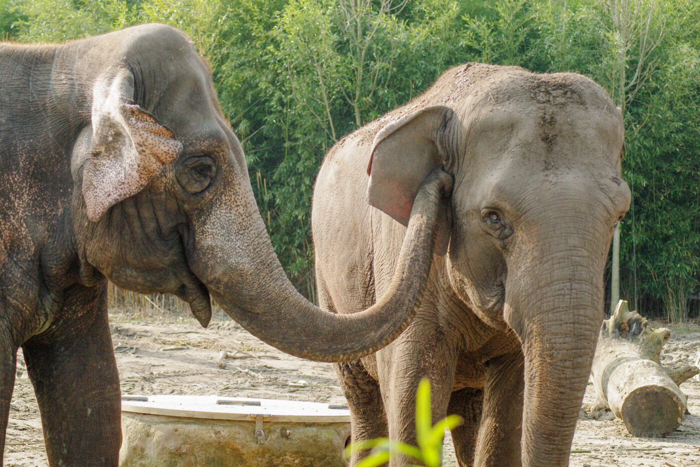 2016-03-10 - Allwetterzoo Münster