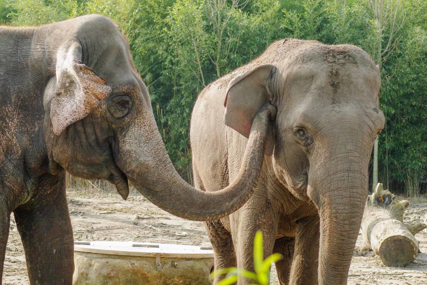 2016-03-10 - Allwetterzoo Münster