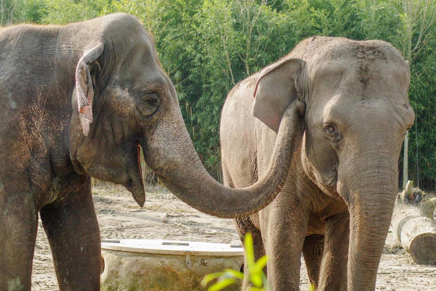 2016-03-10 - Allwetterzoo Münster