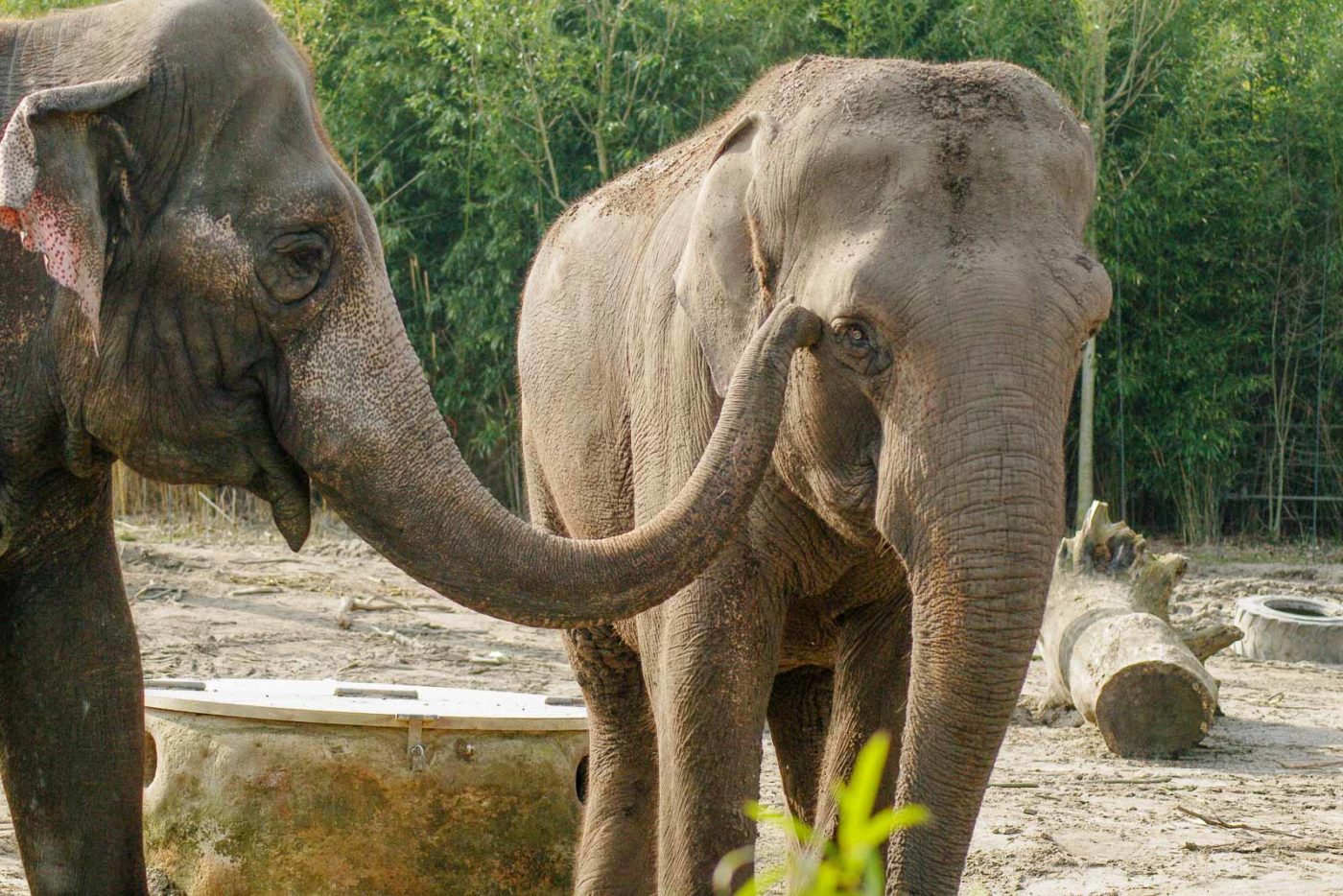 2016-03-10 - Allwetterzoo Münster