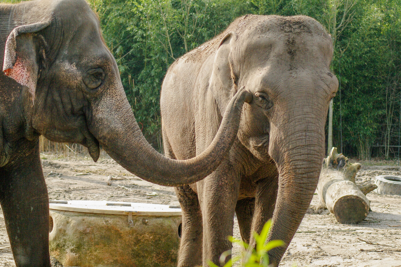 2016-03-10 - Allwetterzoo Münster