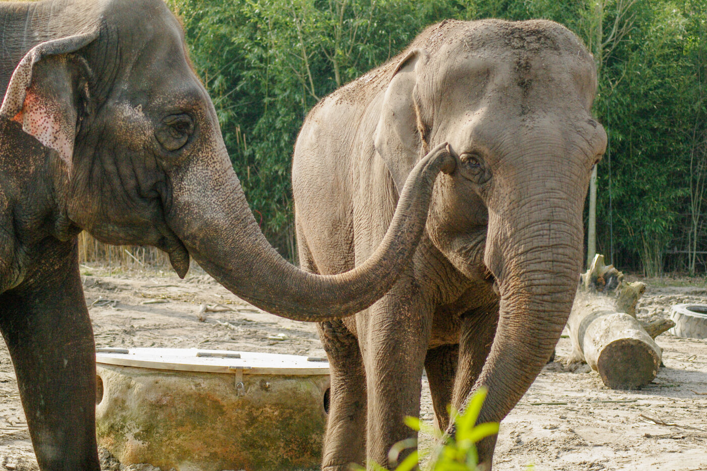 2016-03-10 - Allwetterzoo Münster