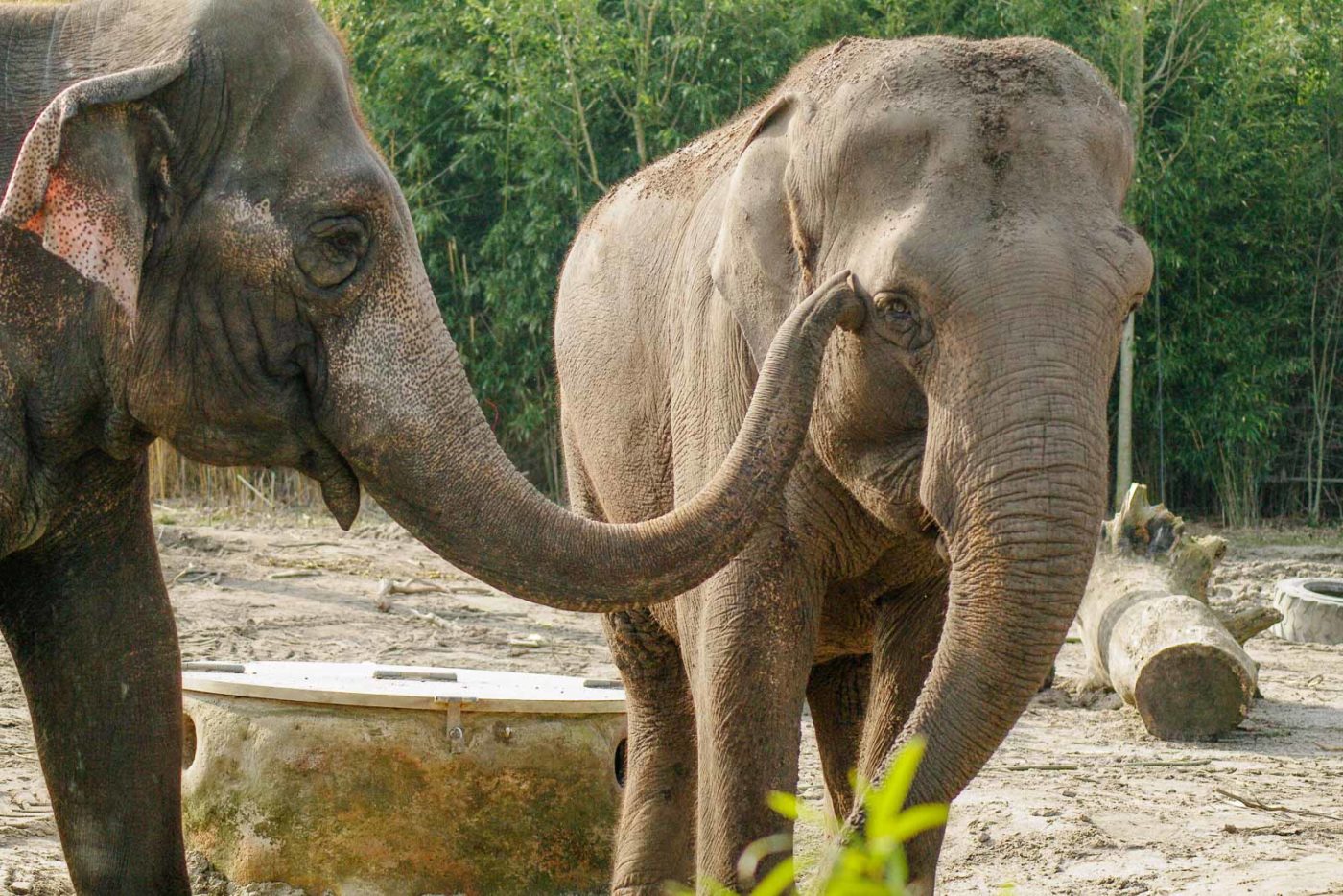 2016-03-10 - Allwetterzoo Münster