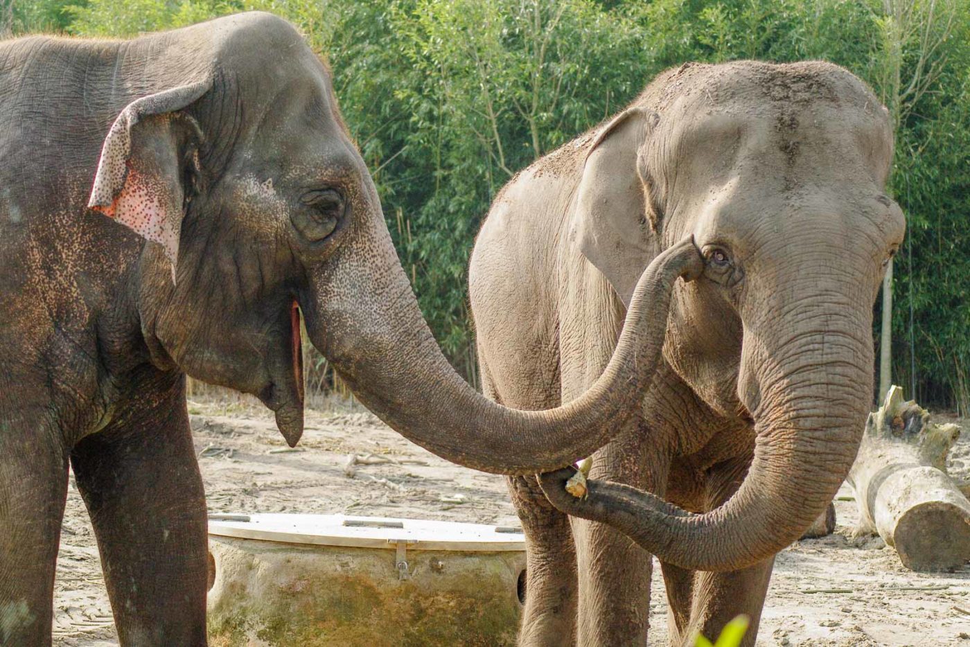 2016-03-10 - Allwetterzoo Münster