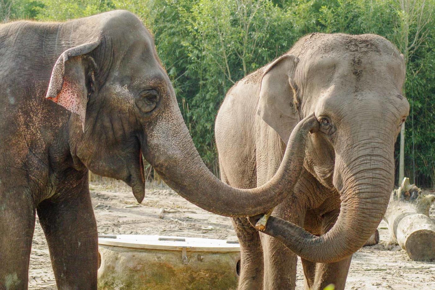 2016-03-10 - Allwetterzoo Münster