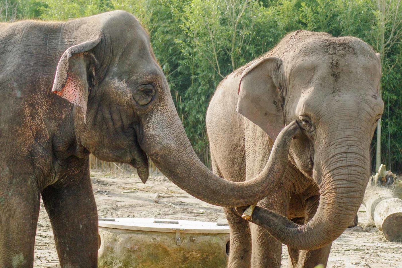 2016-03-10 - Allwetterzoo Münster