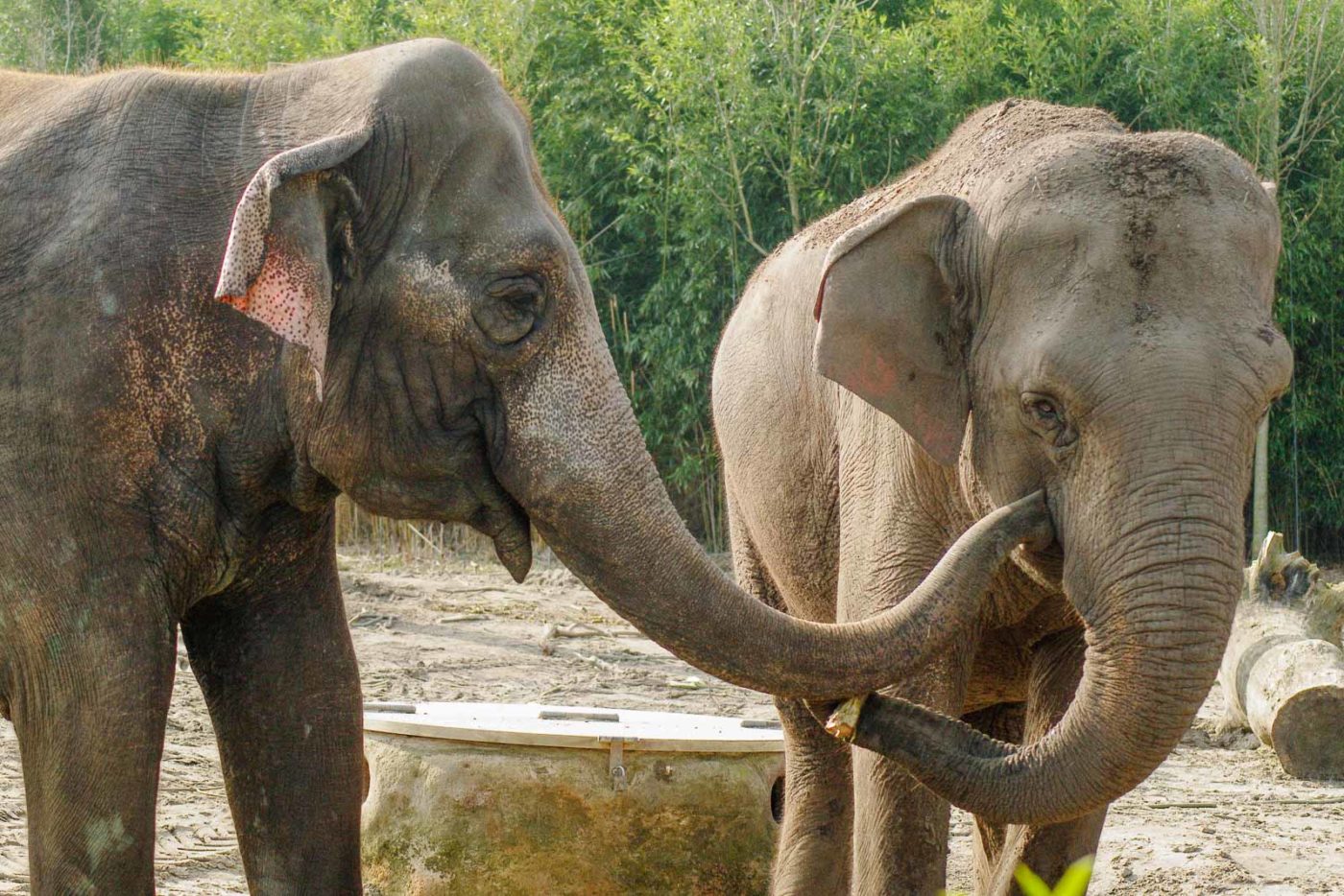 2016-03-10 - Allwetterzoo Münster