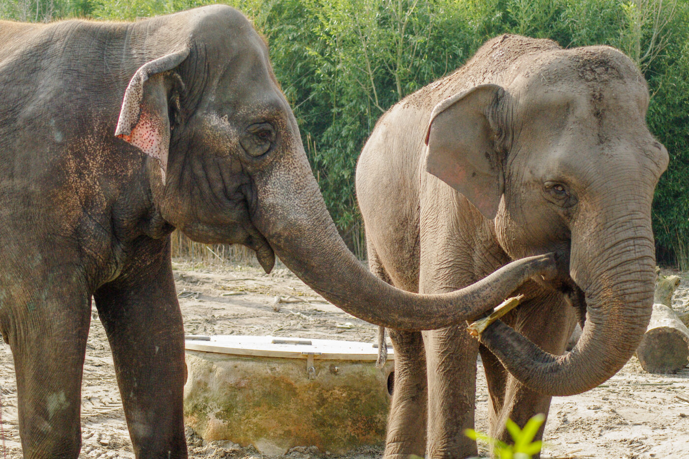 2016-03-10 - Allwetterzoo Münster