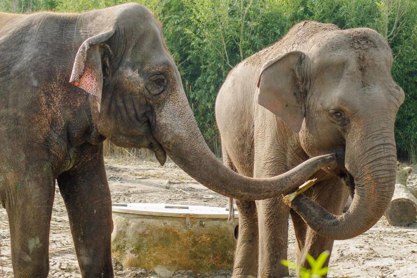 2016-03-10 - Allwetterzoo Münster
