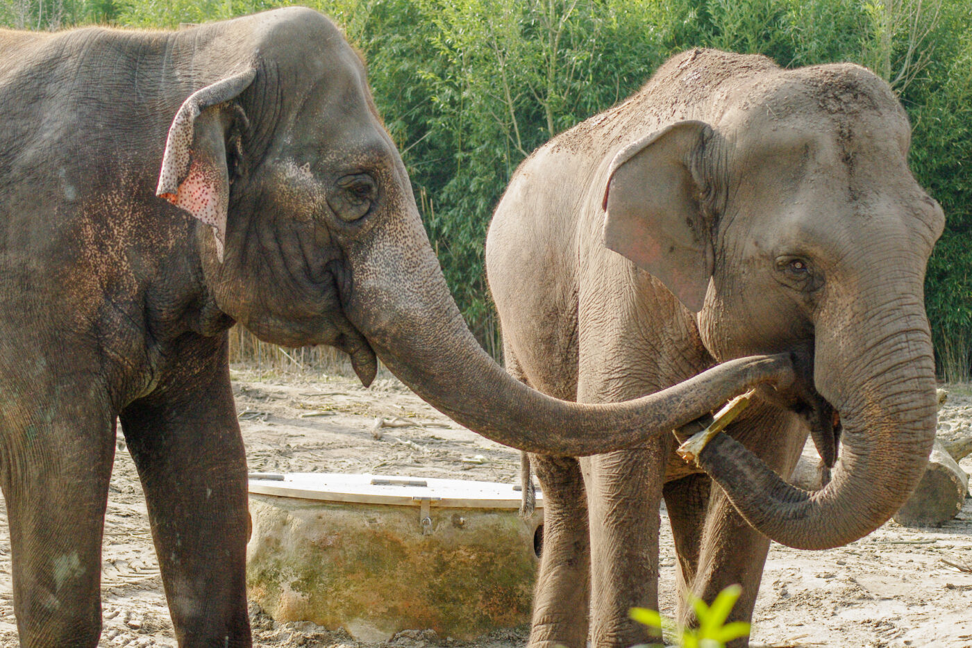 2016-03-10 - Allwetterzoo Münster