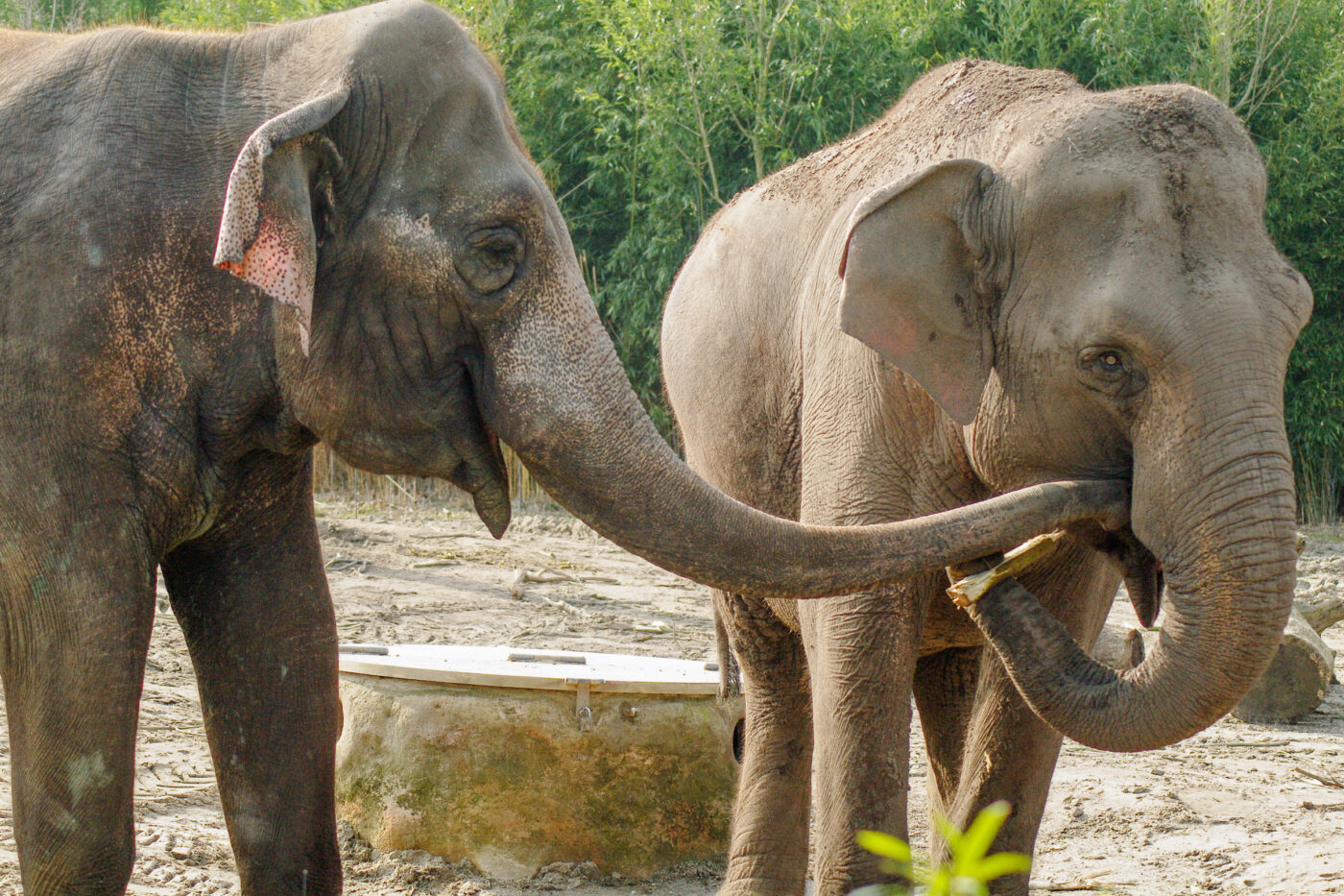 2016-03-10 - Allwetterzoo Münster