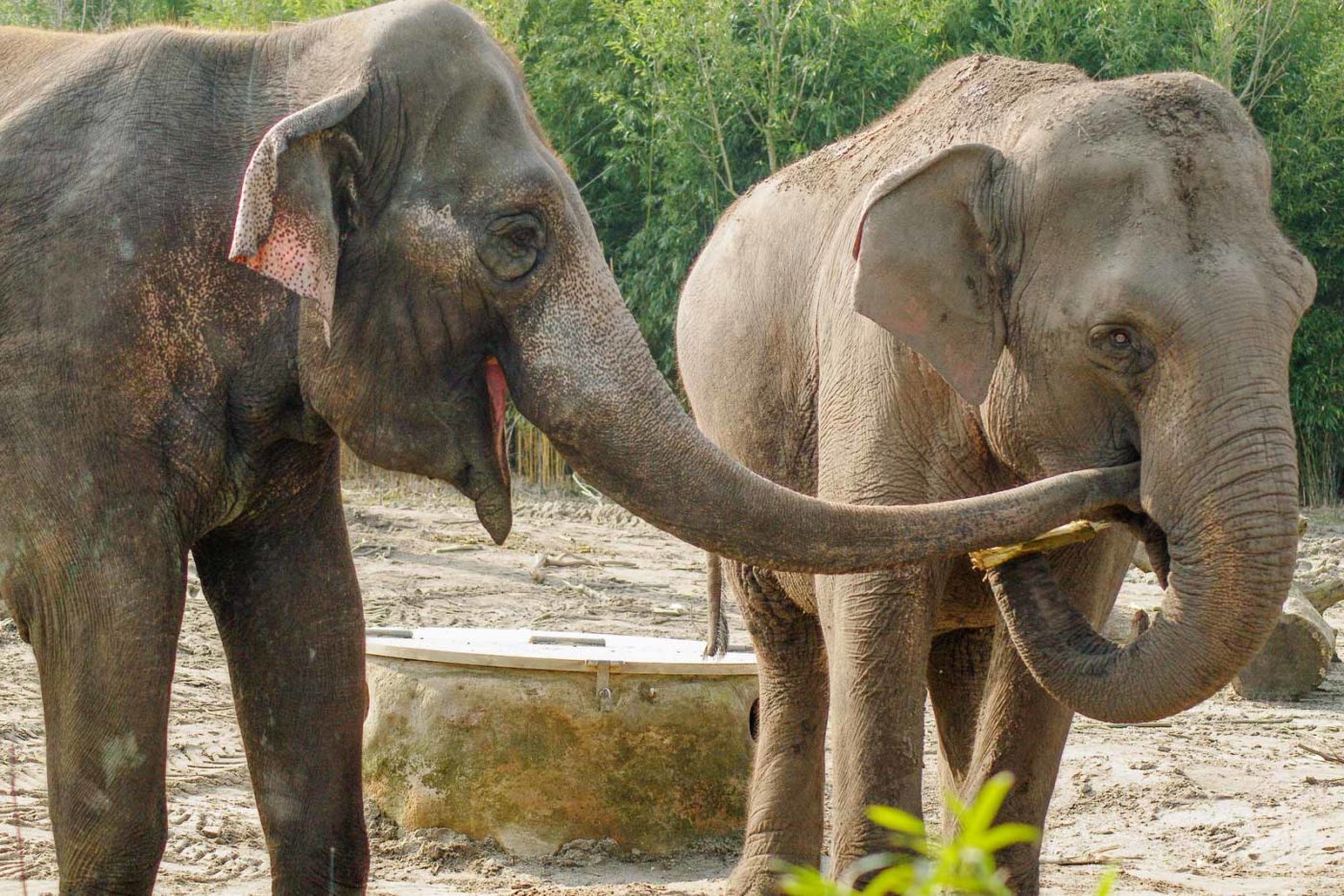 2016-03-10 - Allwetterzoo Münster