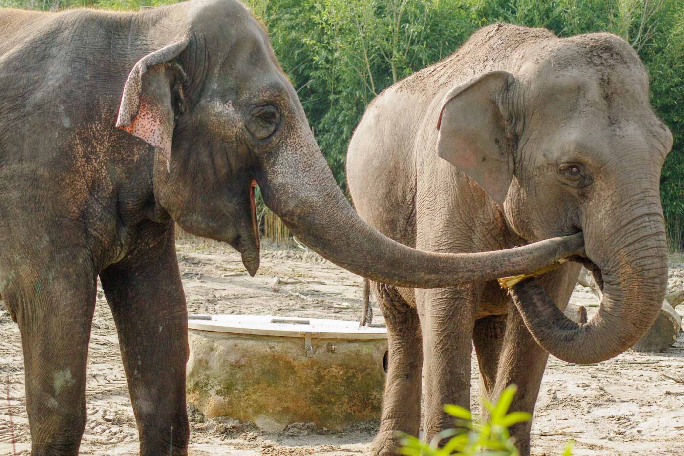 2016-03-10 - Allwetterzoo Münster