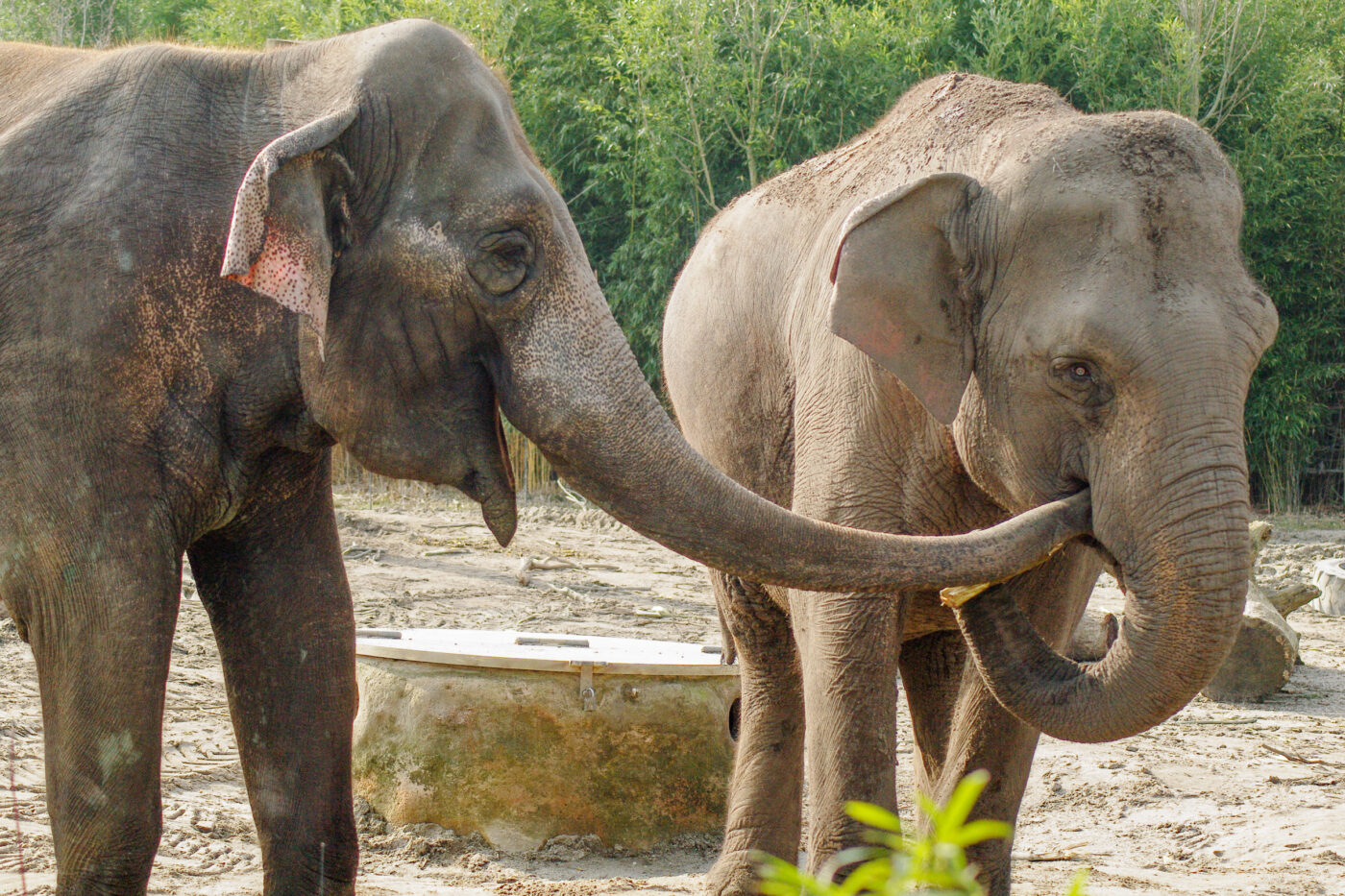 2016-03-10 - Allwetterzoo Münster