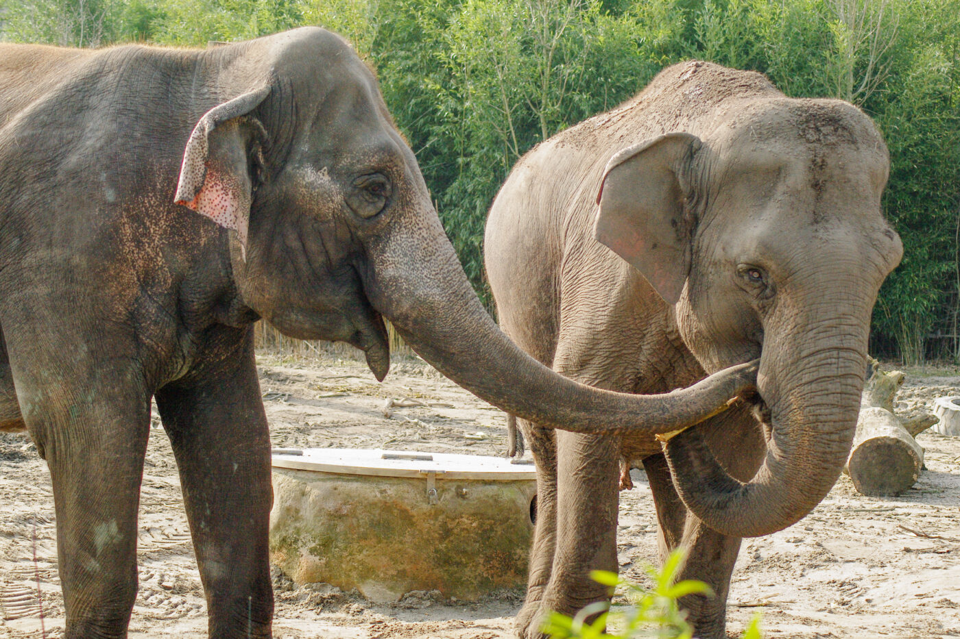 2016-03-10 - Allwetterzoo Münster