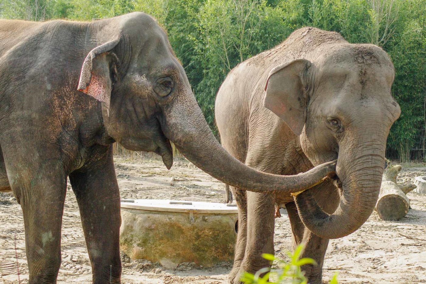 2016-03-10 - Allwetterzoo Münster