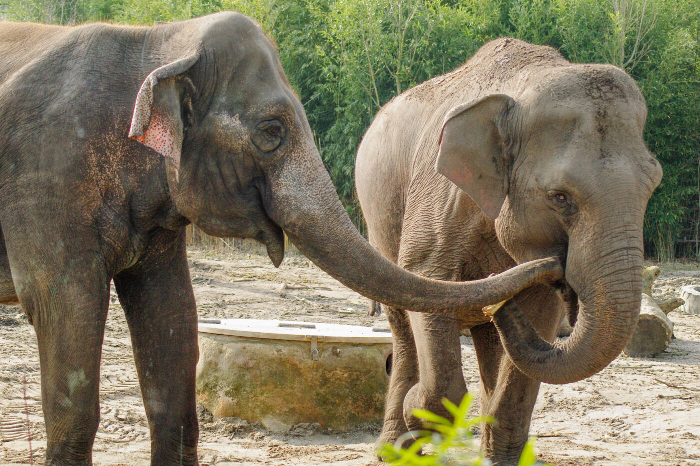 2016-03-10 - Allwetterzoo Münster