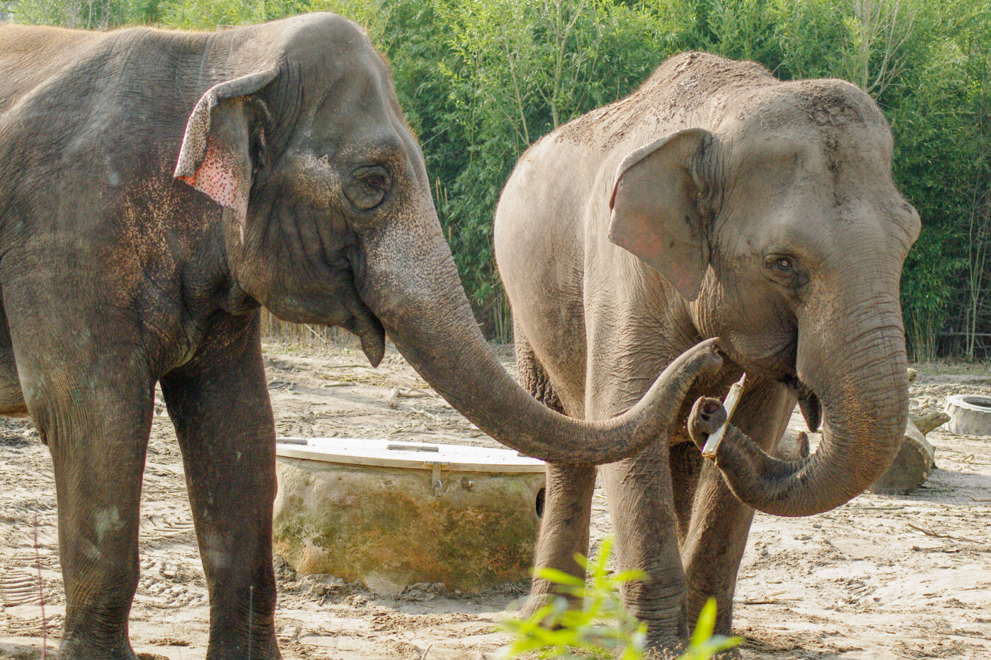 2016-03-10 - Allwetterzoo Münster