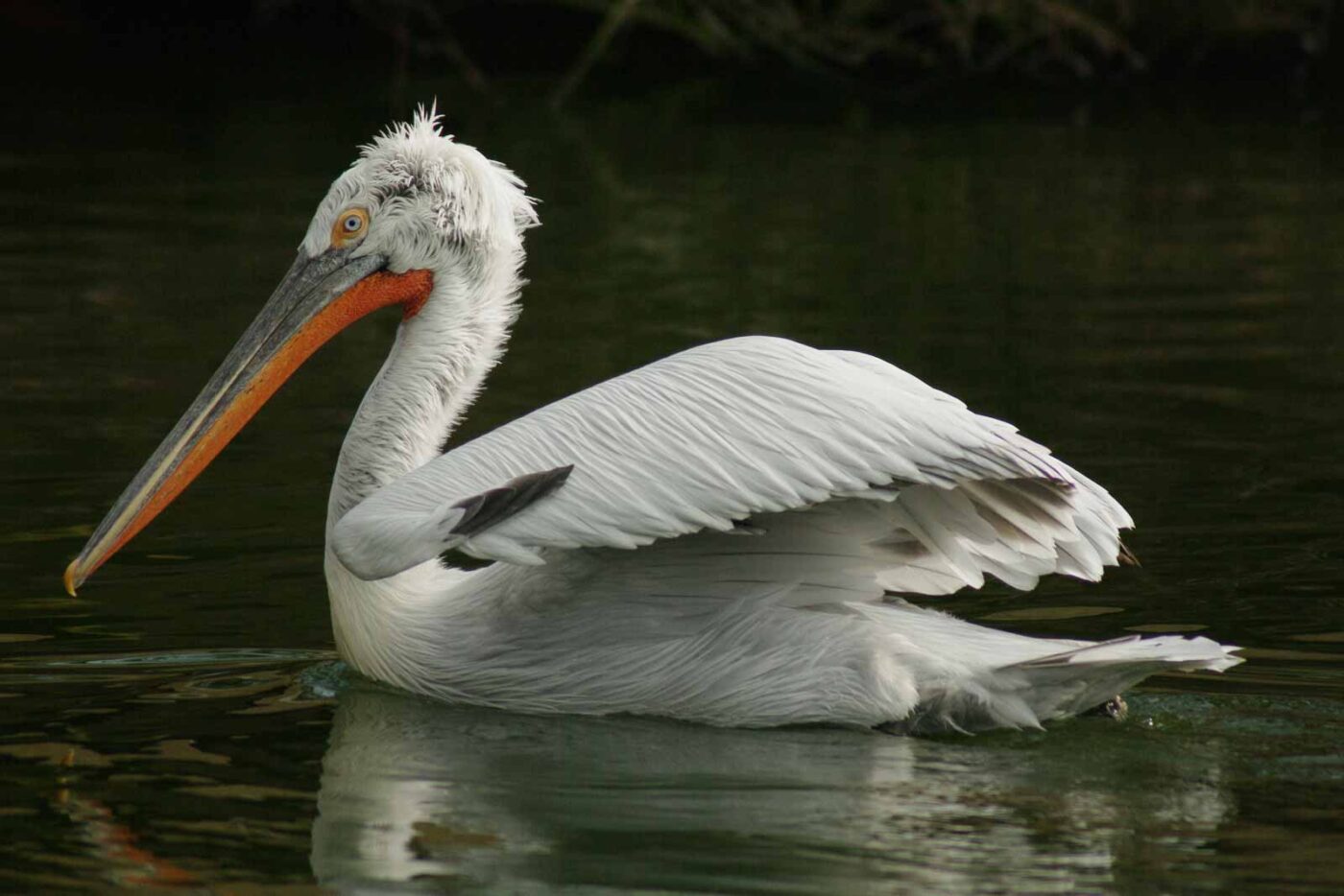 2016-03-10 - Allwetterzoo Münster