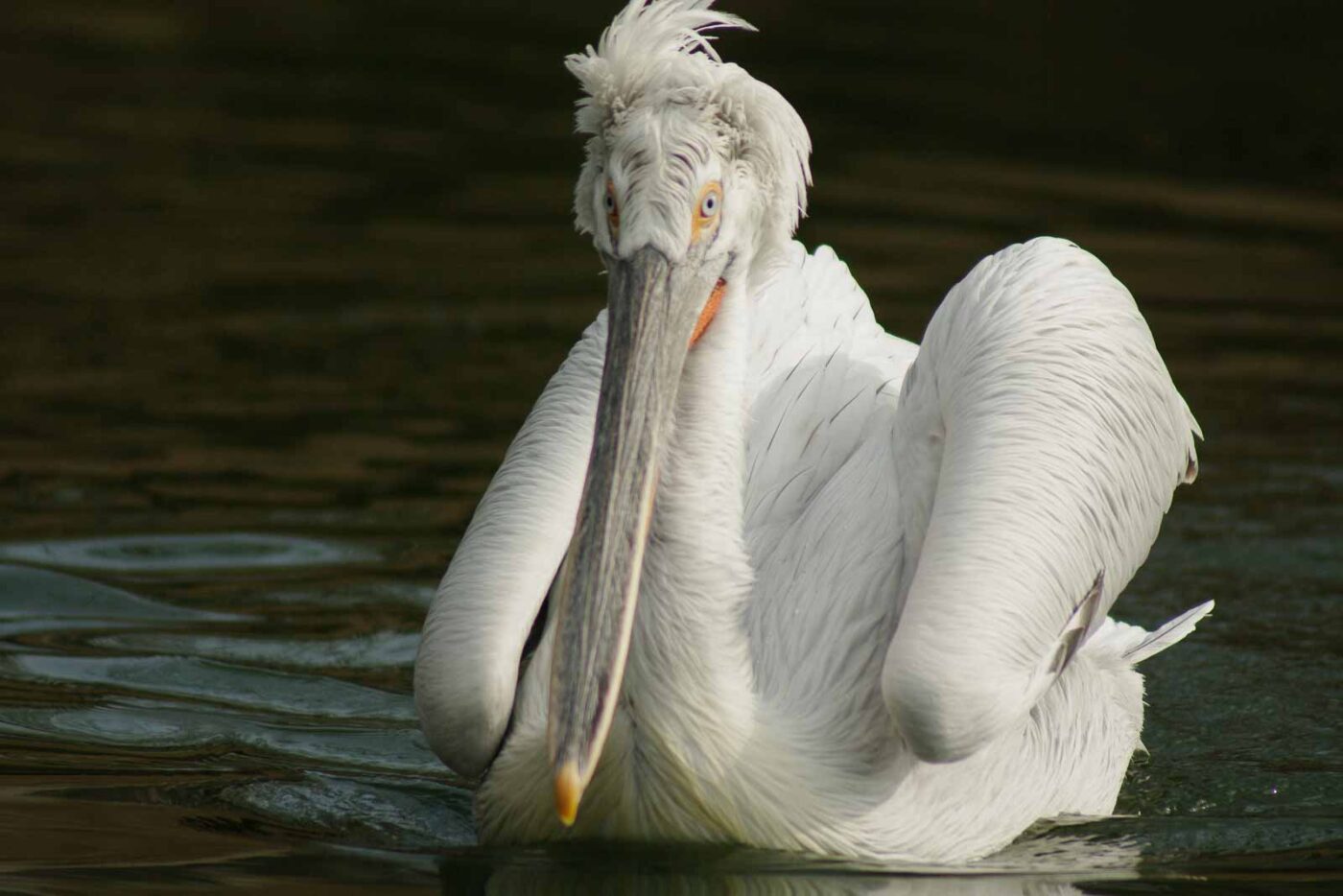 2016-03-10 - Allwetterzoo Münster