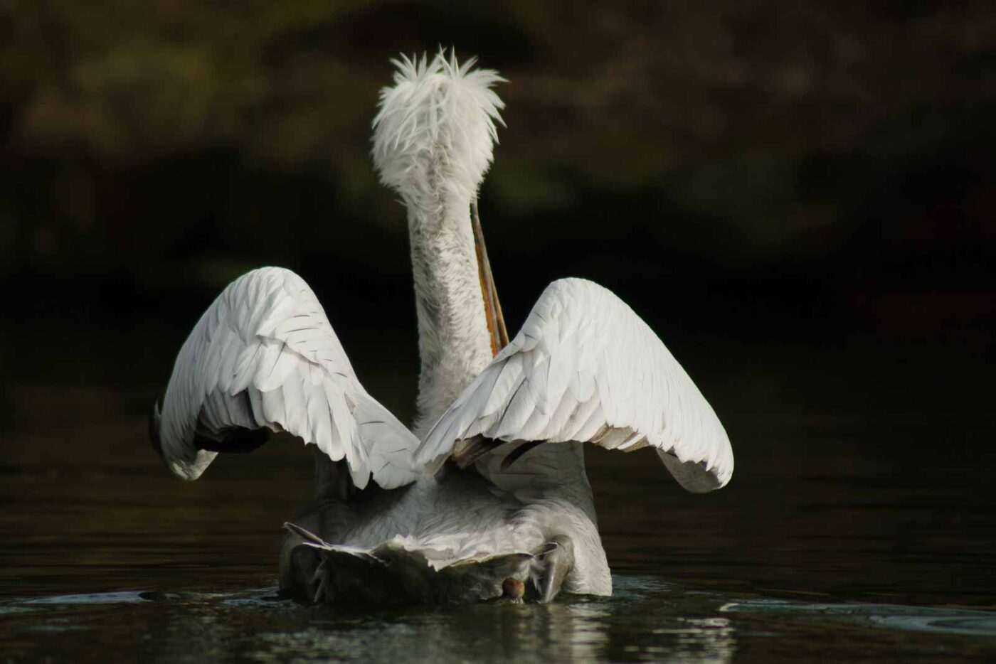 2016-03-10 - Allwetterzoo Münster