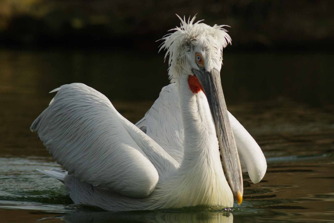2016-03-10 - Allwetterzoo Münster