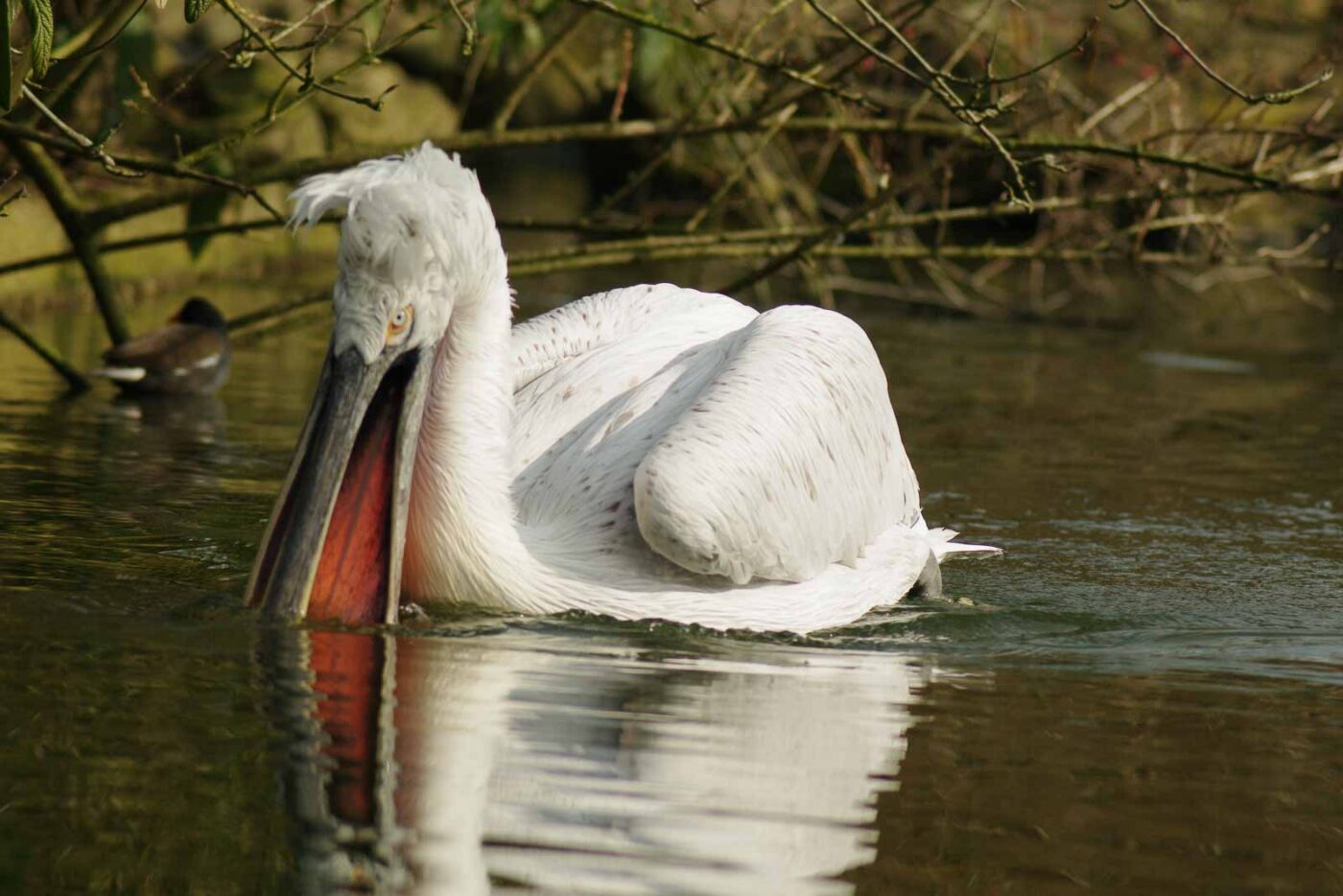 2016-03-10 - Allwetterzoo Münster