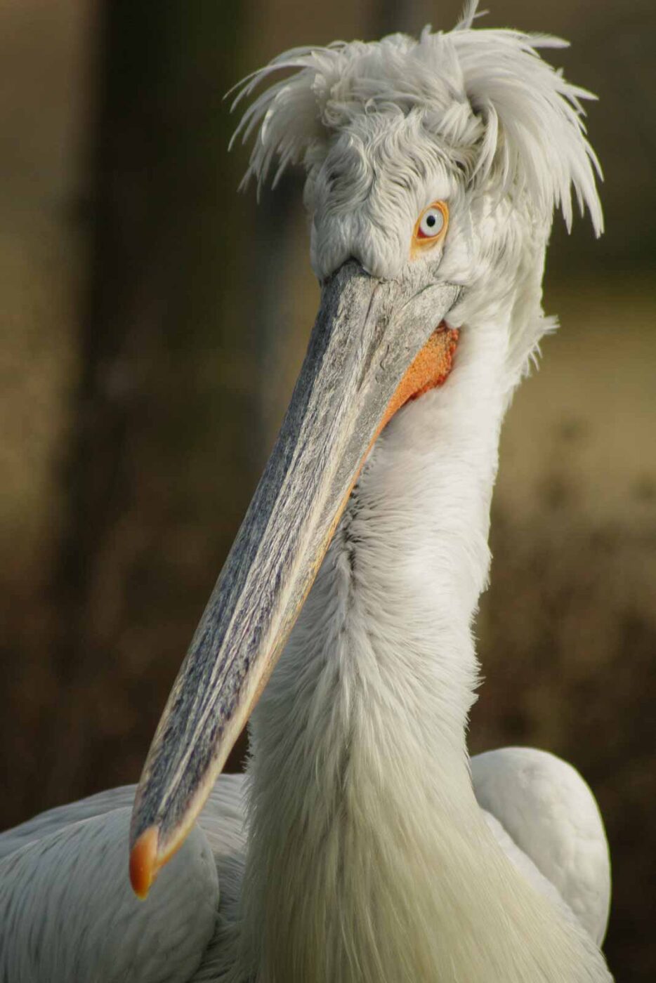 2016-03-10 - Allwetterzoo Münster
