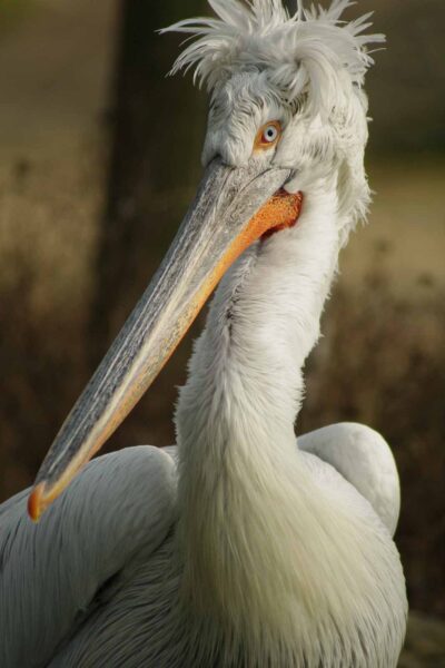 2016-03-10 - Allwetterzoo Münster