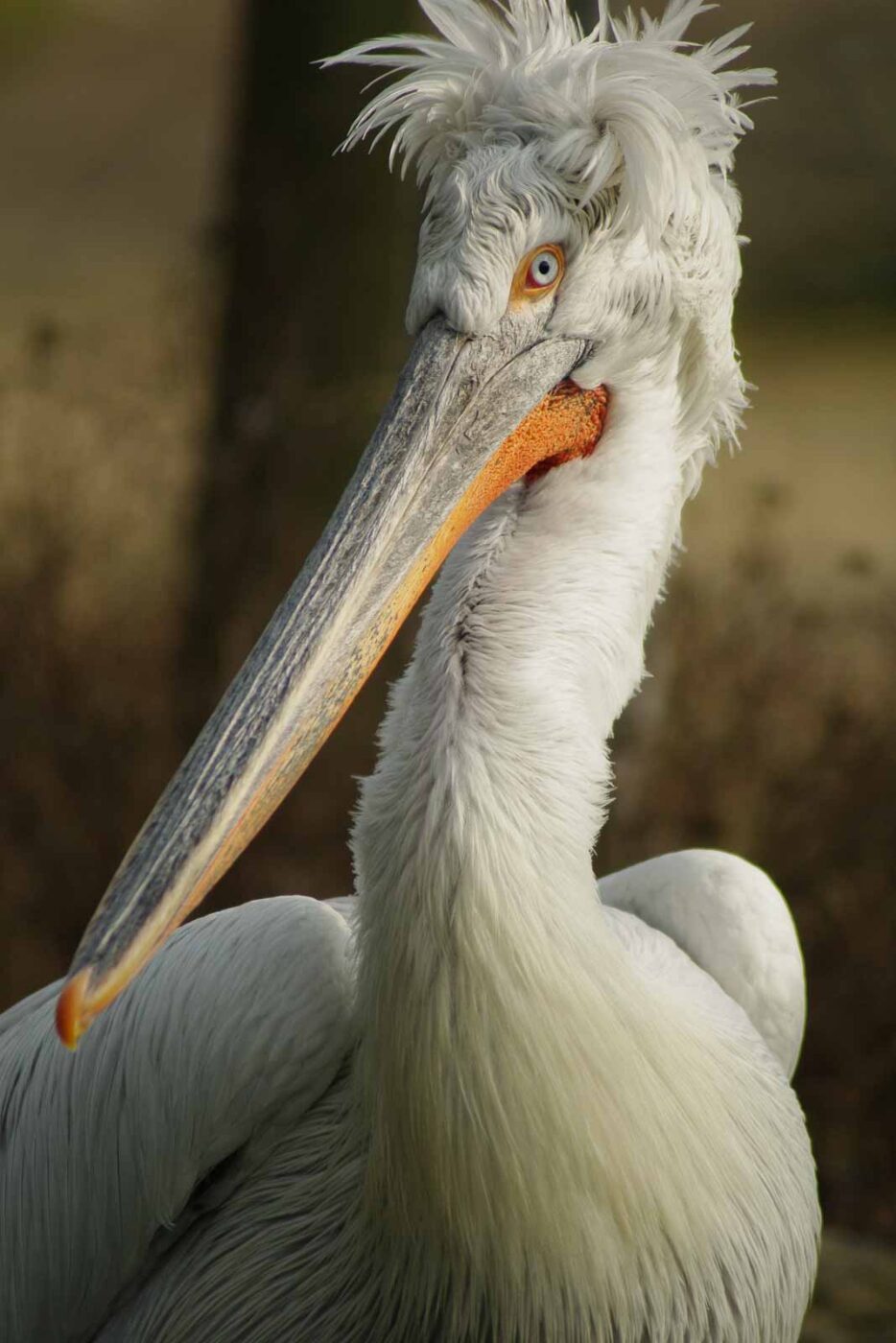 2016-03-10 - Allwetterzoo Münster