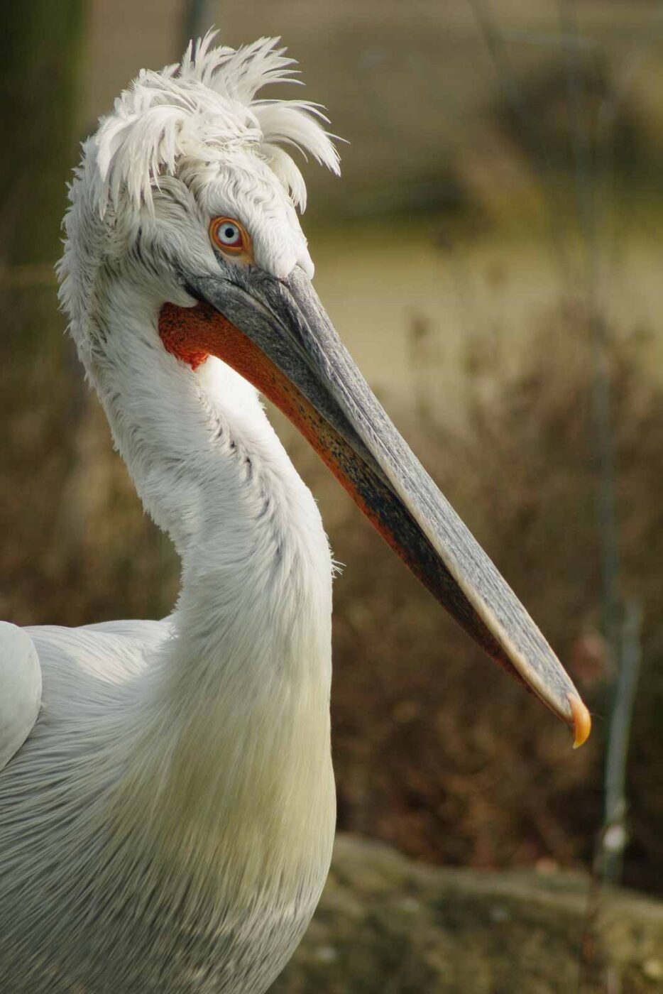 2016-03-10 - Allwetterzoo Münster