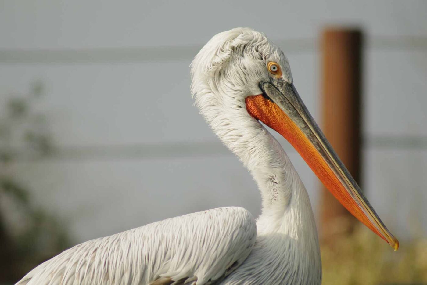 2016-03-10 - Allwetterzoo Münster