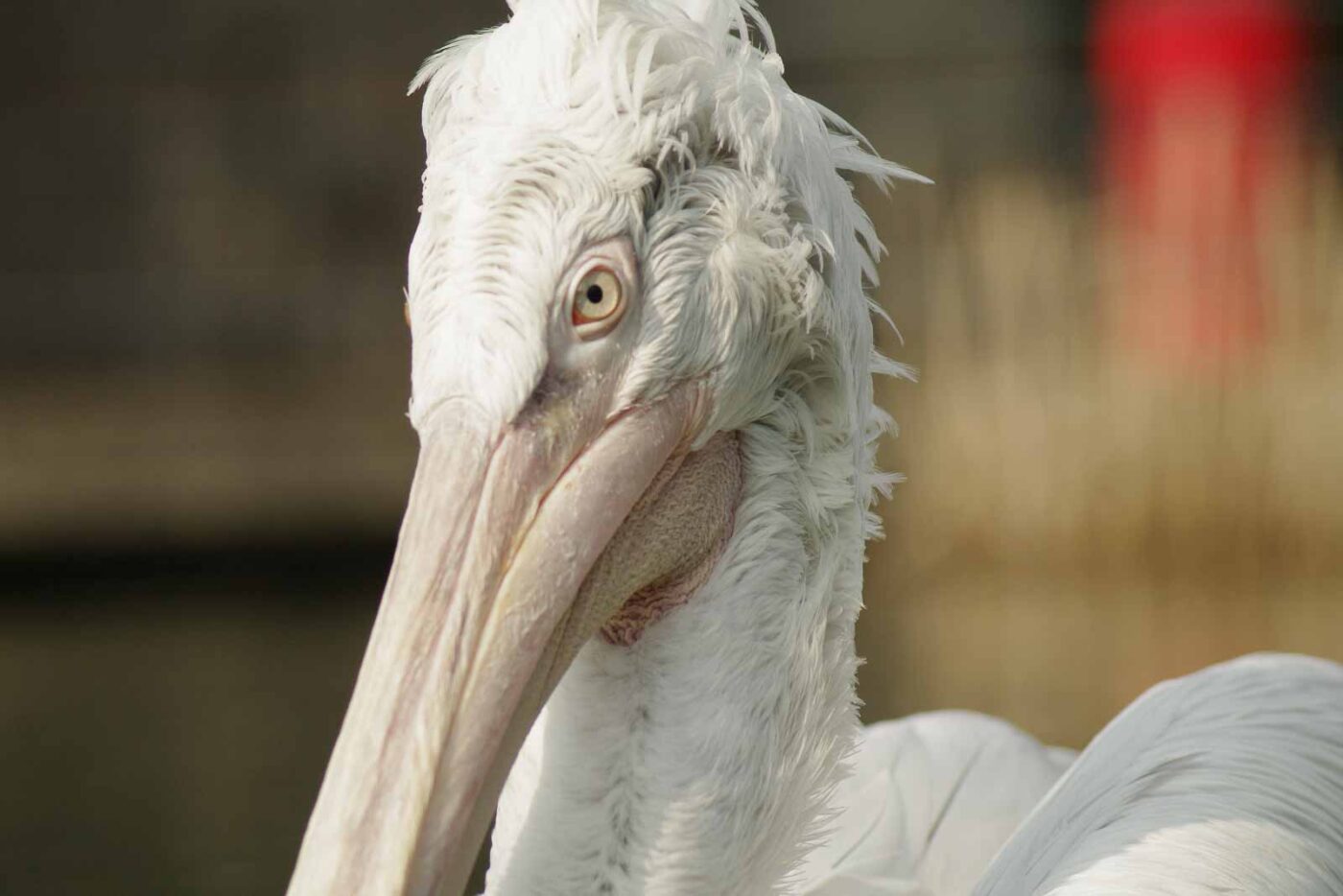 2016-03-10 - Allwetterzoo Münster