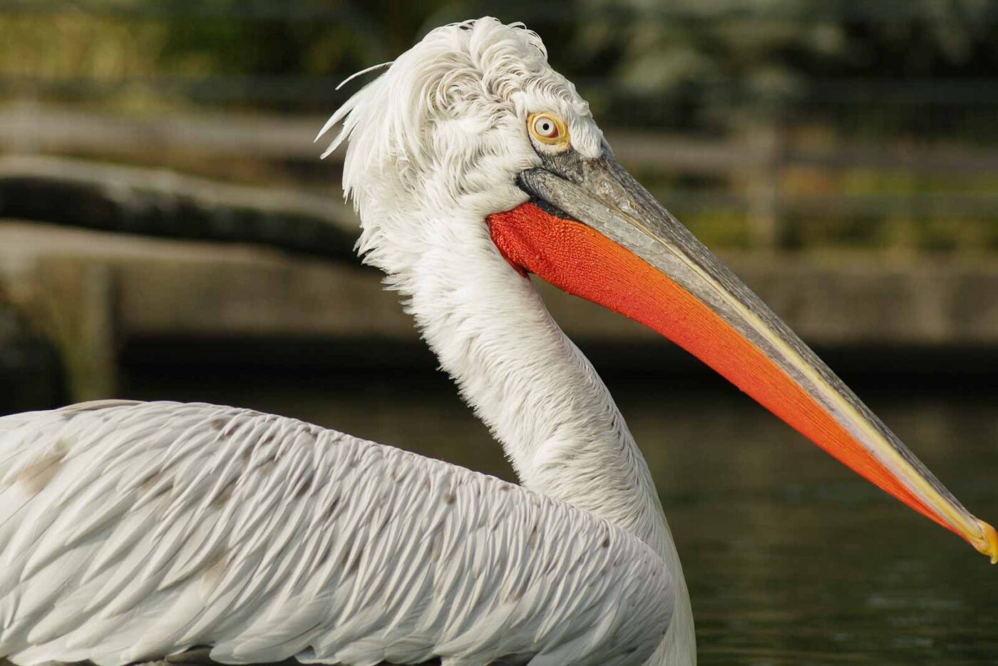 2016-03-10 - Allwetterzoo Münster
