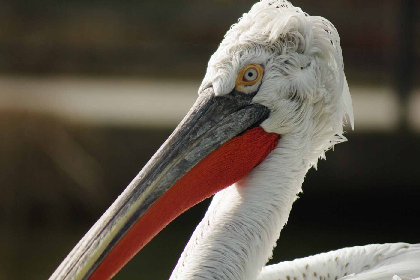 2016-03-10 - Allwetterzoo Münster
