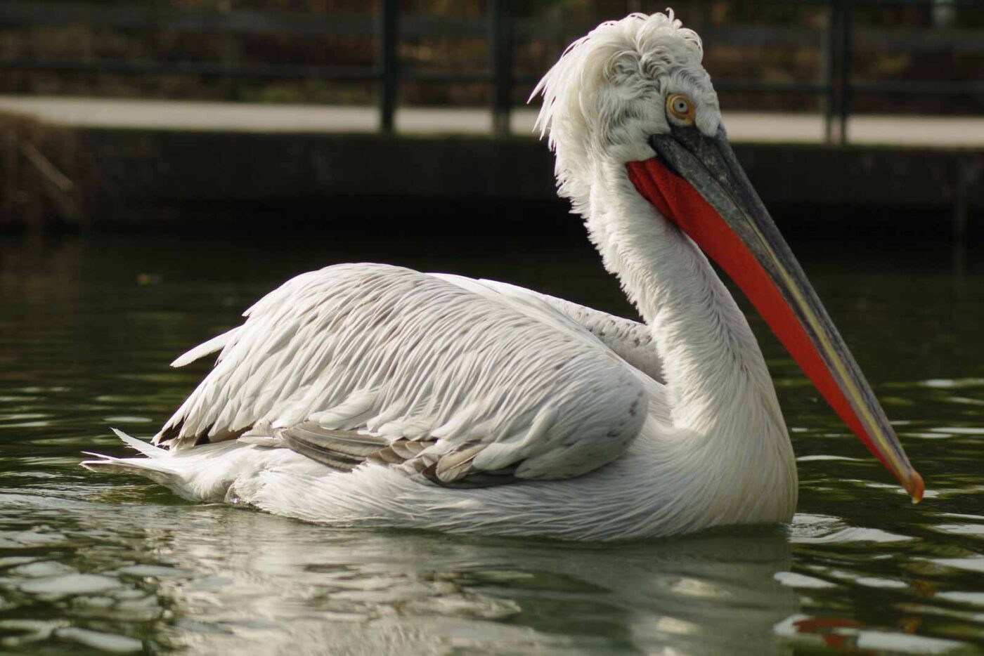 2016-03-10 - Allwetterzoo Münster