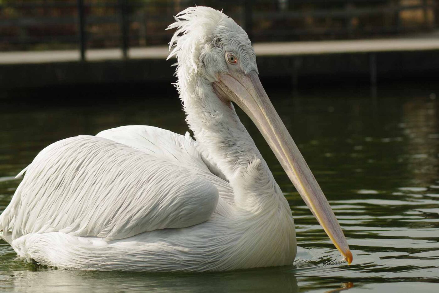 2016-03-10 - Allwetterzoo Münster