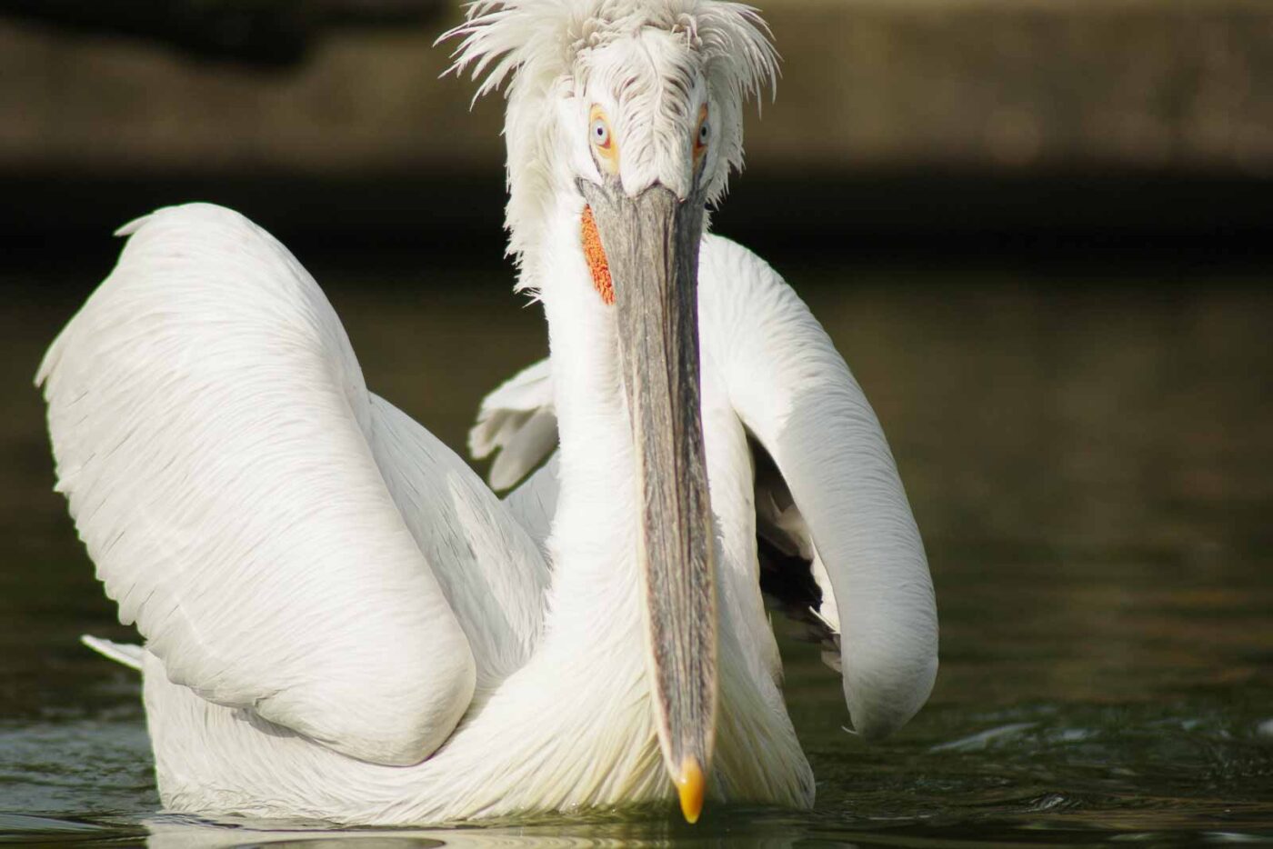 2016-03-10 - Allwetterzoo Münster