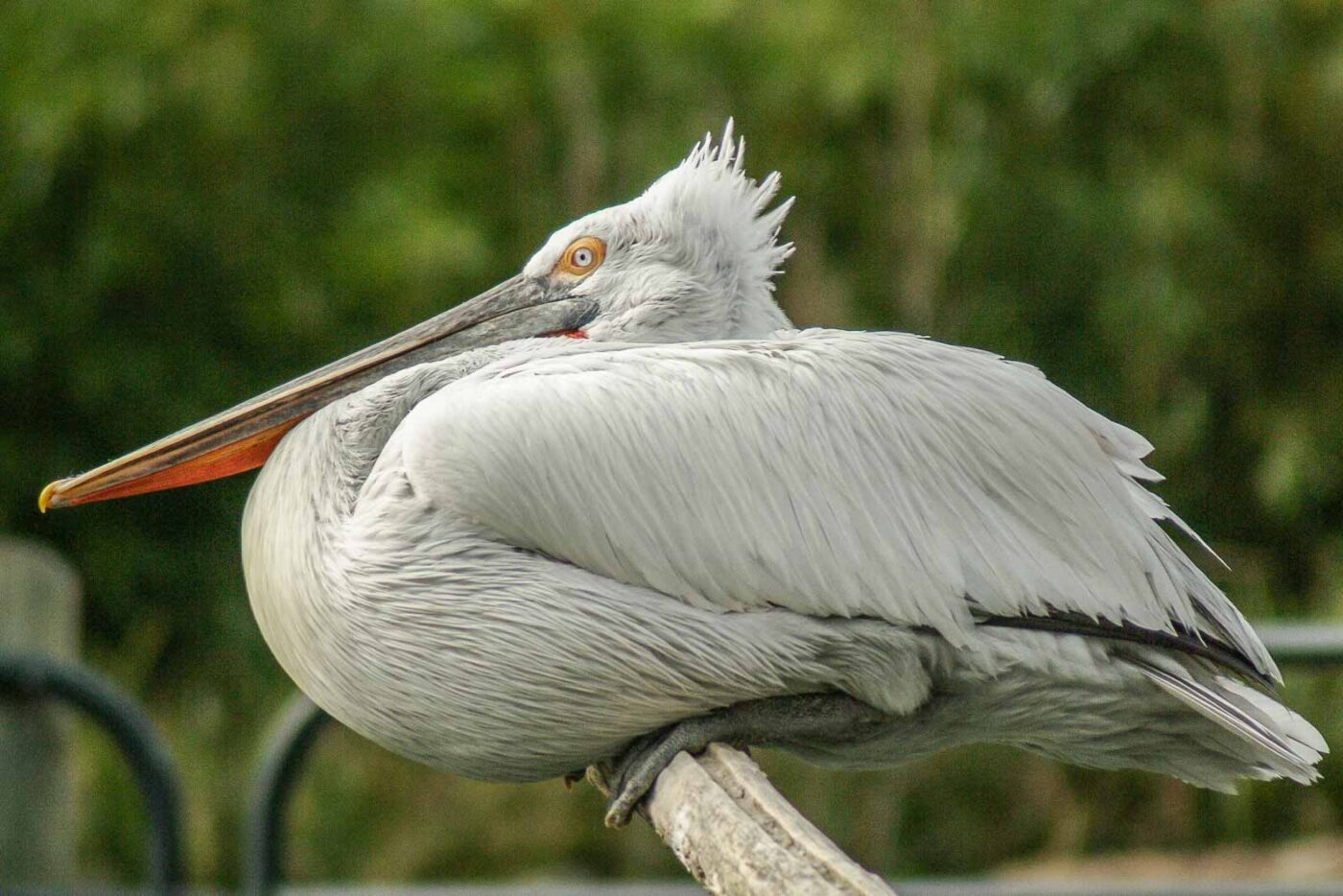 2016-03-10 - Allwetterzoo Münster
