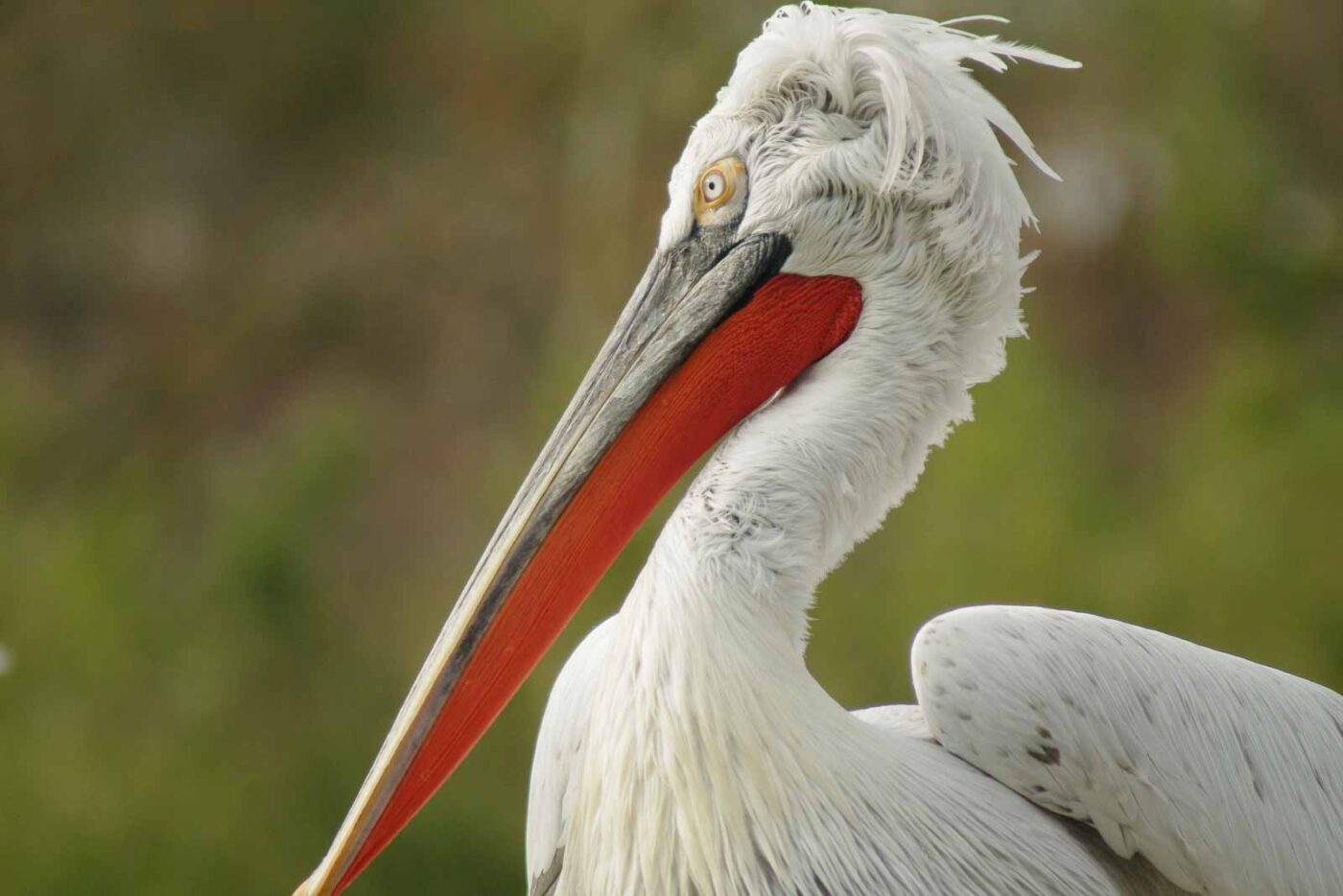 2016-03-10 - Allwetterzoo Münster