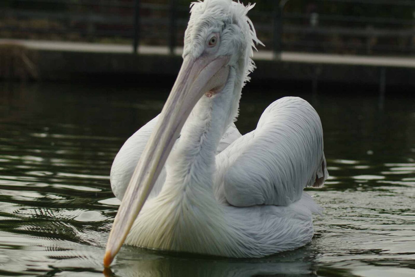 2016-03-10 - Allwetterzoo Münster