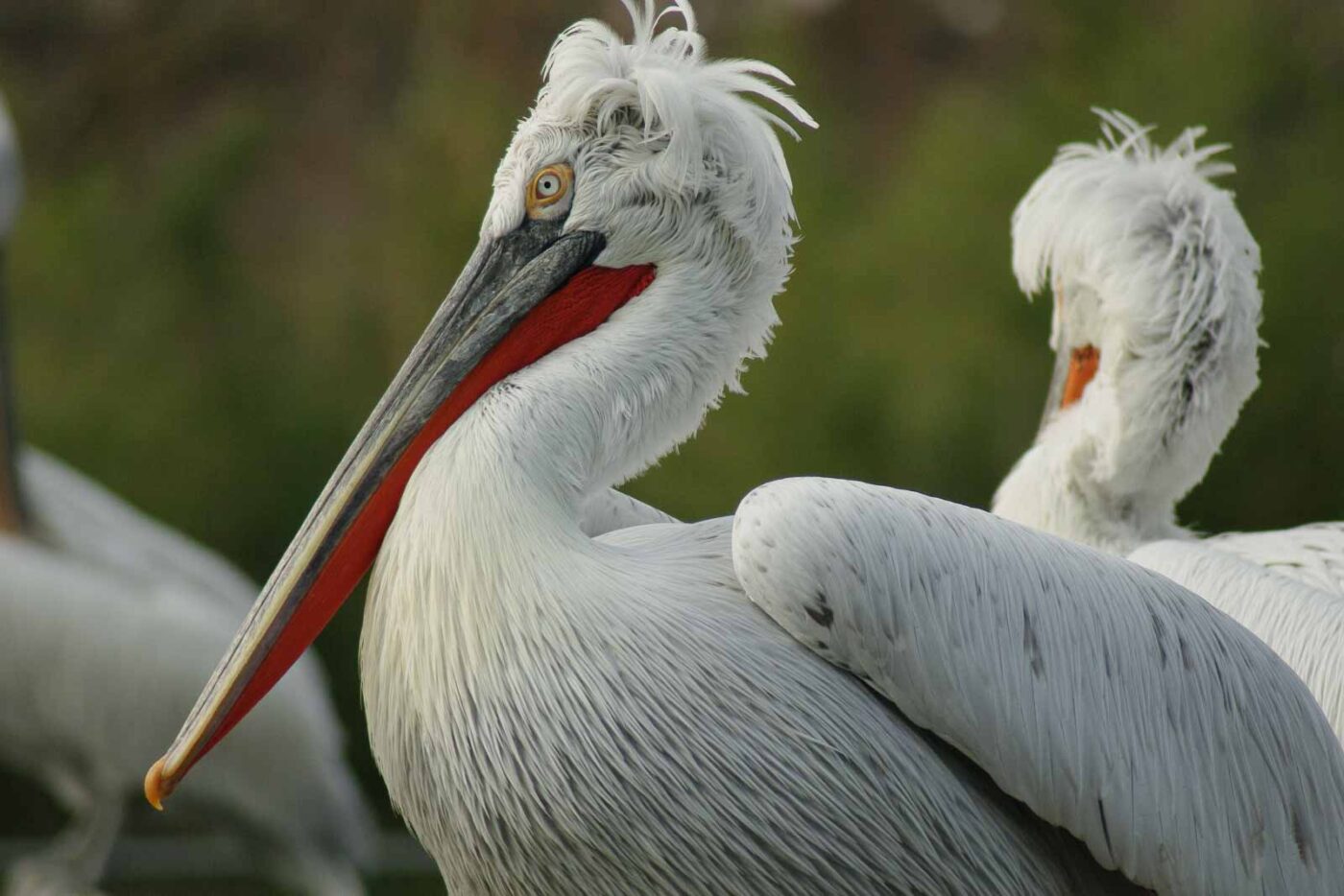 2016-03-10 - Allwetterzoo Münster