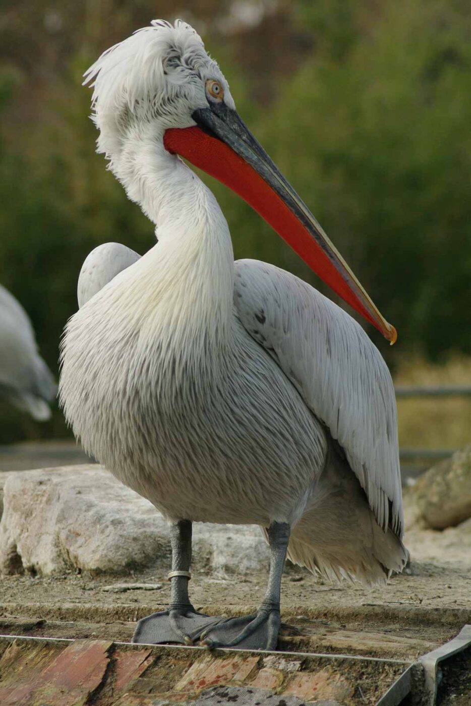 2016-03-10 - Allwetterzoo Münster
