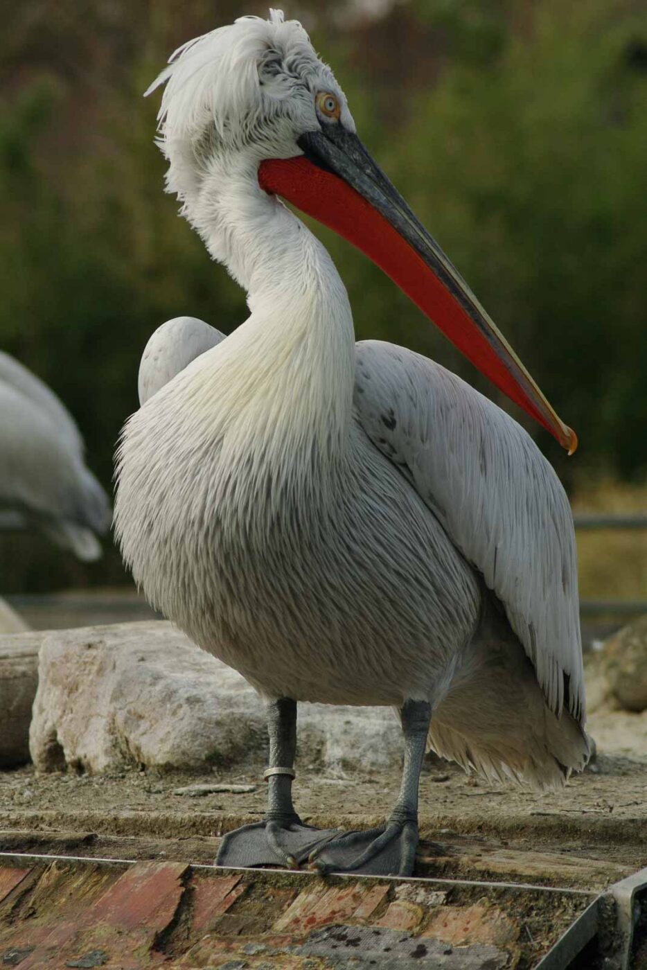 2016-03-10 - Allwetterzoo Münster