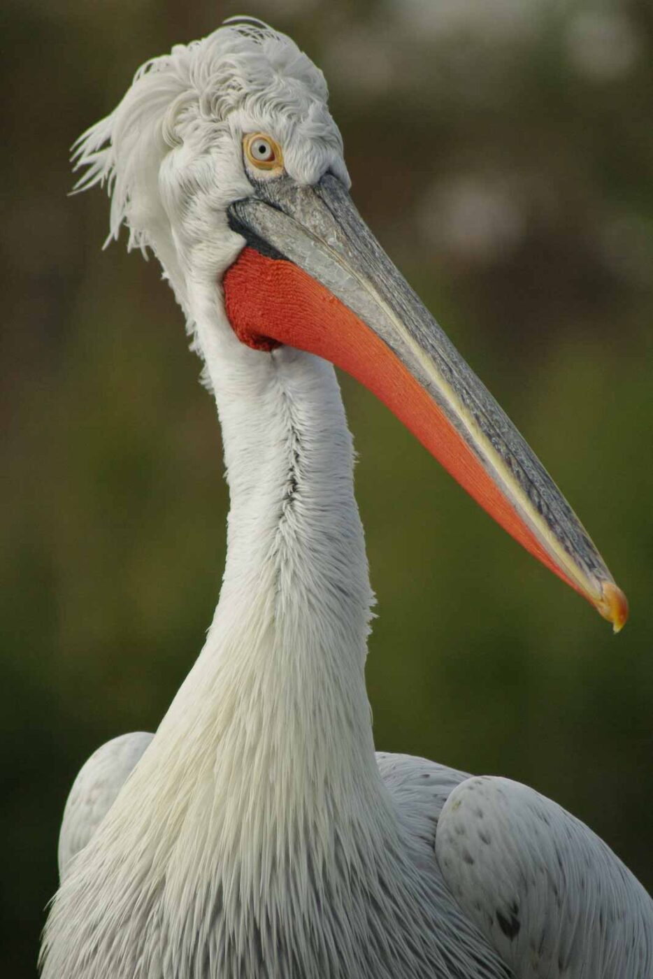 2016-03-10 - Allwetterzoo Münster