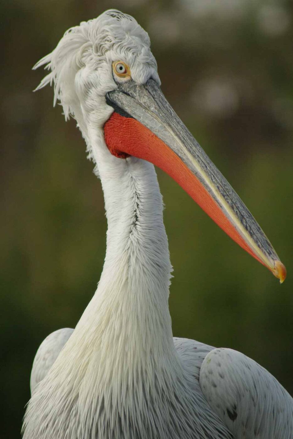 2016-03-10 - Allwetterzoo Münster