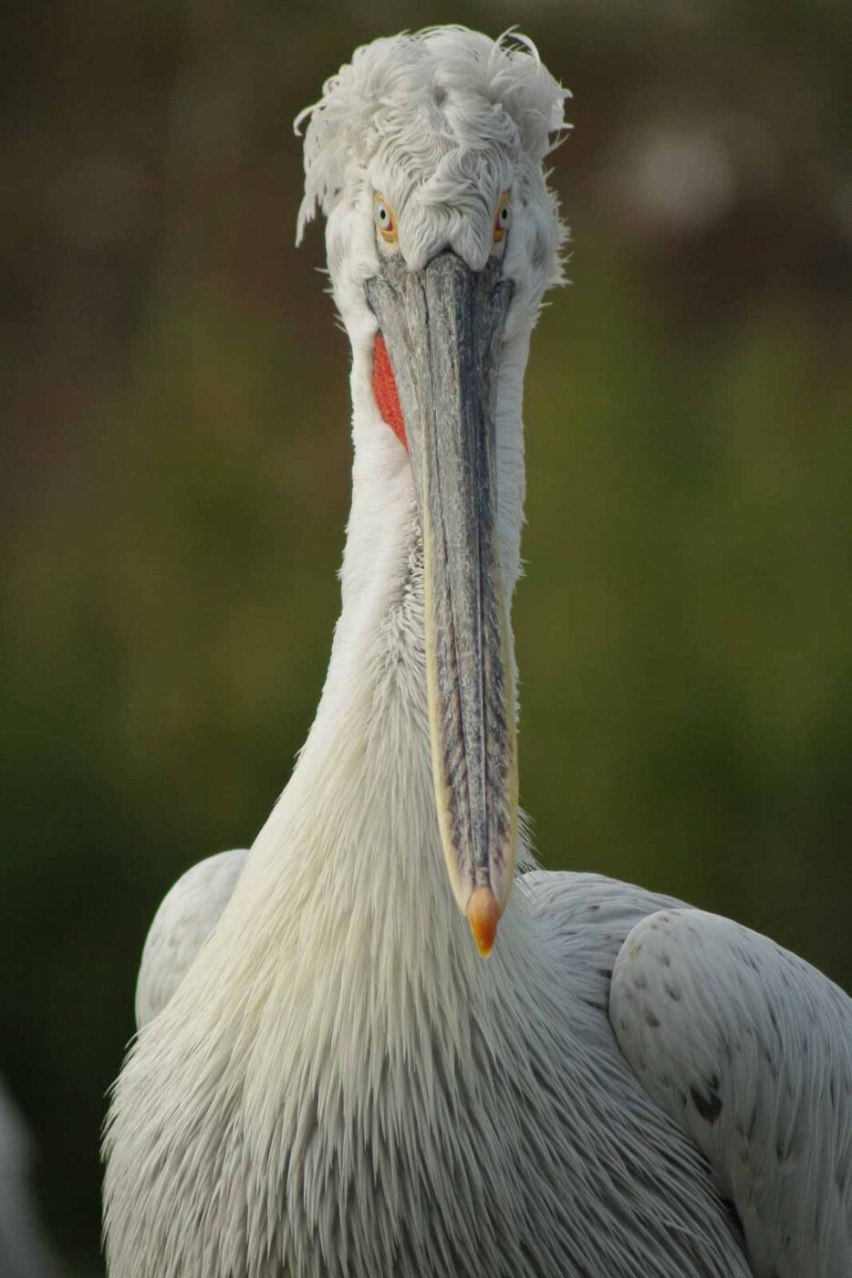 2016-03-10 - Allwetterzoo Münster