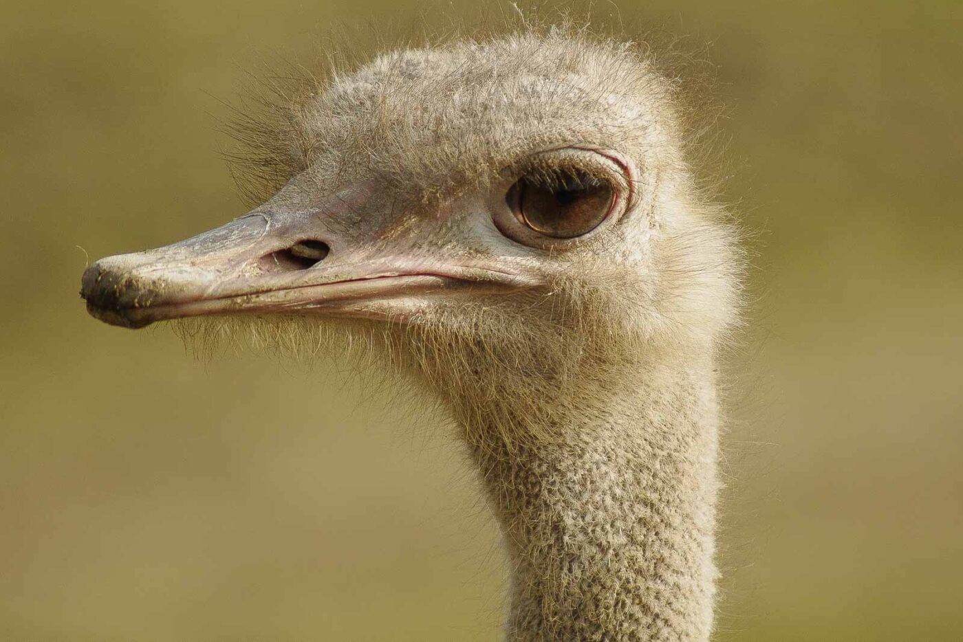 2016-03-10 - Allwetterzoo Münster